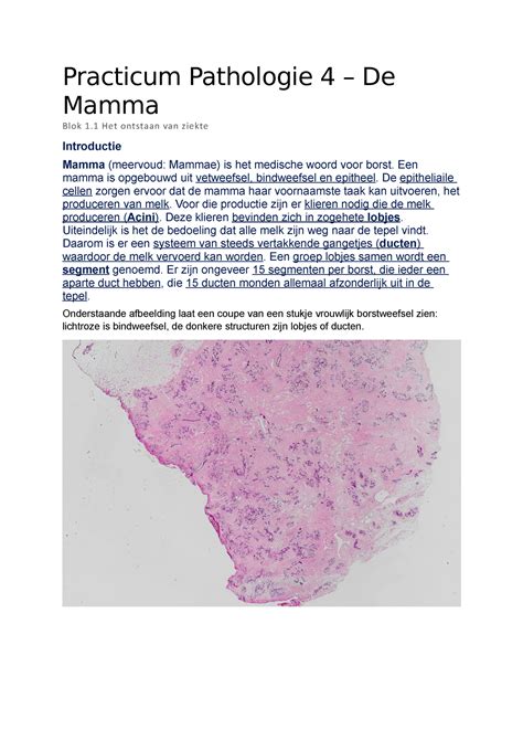 Prc Pathologie Ingangstoets De Mamma Practicum Pathologie De