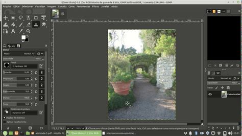 Gimp Clonagem YouTube