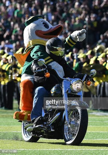 The Oregon Ducks Mascot Puddles Takes The Field During A Pac 12