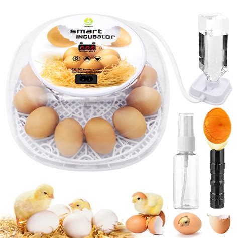 Buy Egg Incubator 12 24 Eggs Incubator With Automatic Egg Turning LED