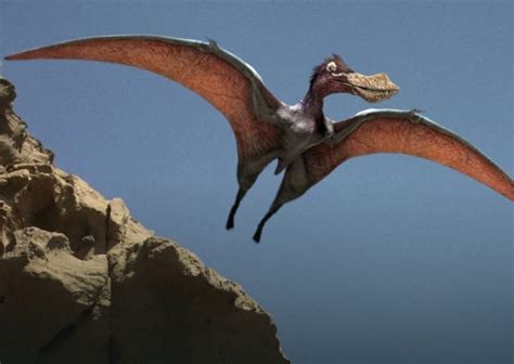 Australia Scoperta Nuova Specie Di Pterodattilo Gigante Scienze Notizie