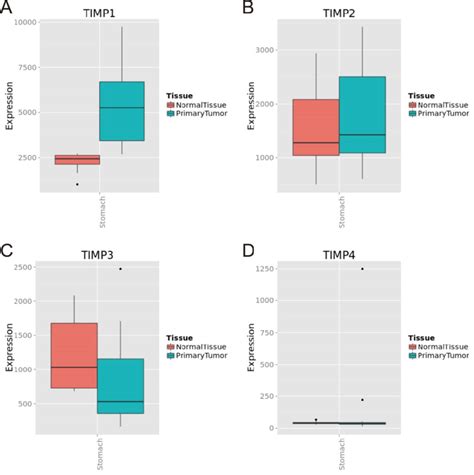 Timp Gene Expression Level In Normal Gastric Tissue And Tumor Tissue In