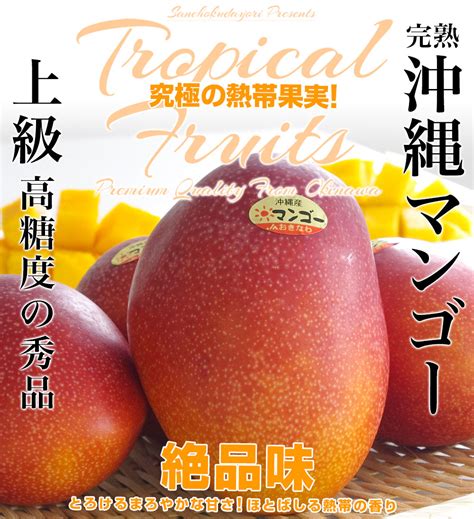 マンゴーコ 沖縄 沖縄マンゴー 1kg ※日時指定不可｜直送品｜お取り寄せグルメ ギフト プレゼント His Idh0032881 His