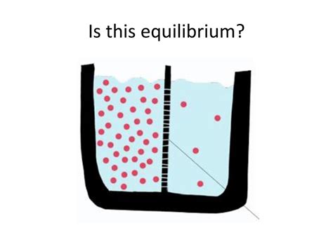 Diffusion And Osmosis Equilibrium Ppt Download