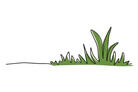 Grass 2d Vector Art Icons And Graphics For Free Download