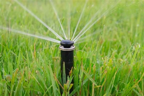 Irrigation System Release Your Hands And Saving Your Time