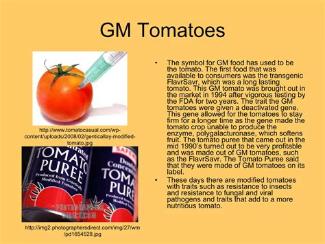 Major Genetically Modified Crops Ppt