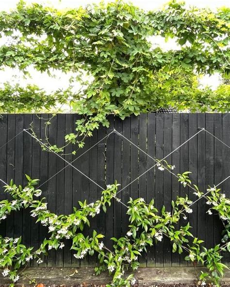 33 Garden Fence Ideas Adorned With Stunning Flowers