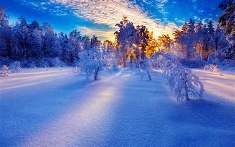 Зима Природа Красивые 58 фото