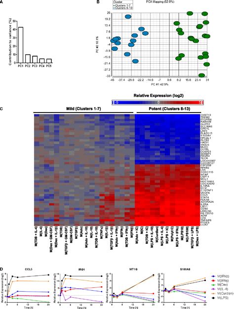 Frontiers A Systematic Approach To Identify Markers Of Distinctly Activated Human Macrophages