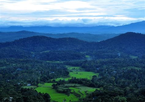 Rutas Naturales Y Espirituales De Coorg Visita Guiada A Pie