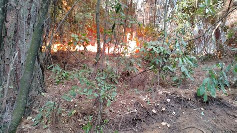 Brigadistas controlan incendio en el Cerro de la Charanda Quadratín