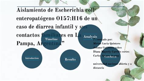 Aislamiento De Escherichia Coli Enteropat Geno O H De Un Caso De