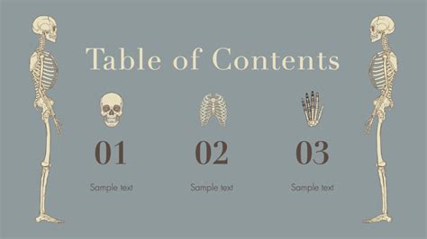 Free Anatomy PowerPoint Template Prezentr