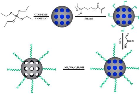 Silica Based Mesoporous Nanoparticles For Controlled Drug Delivery