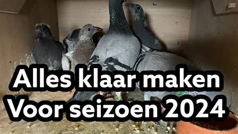 Postduiven Los Alles Klaar Maken Voor Seizoen 2024 Seizoens Start