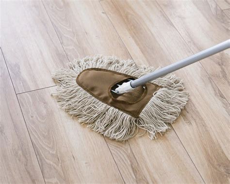 Amazing Dry Mop For Storables