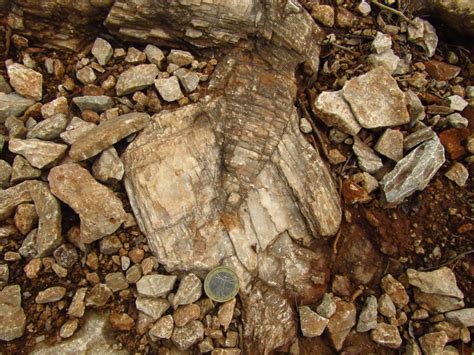 Calcite Geology Is The Way