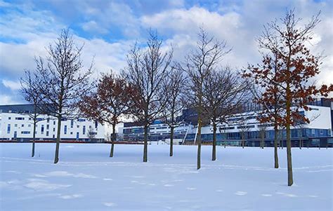 Christmas Closure Period Queen Margaret University Edinburgh