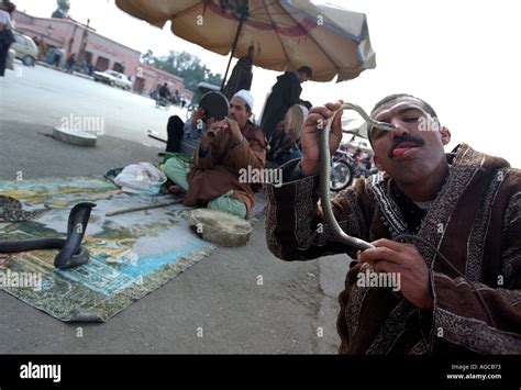 A Snake Charmer In Djemaa El Fna Square In Marrakech In Morocco North