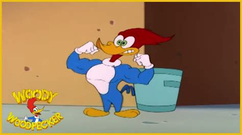 Woody Woodpecker Super Woody Full Episodes Youtube