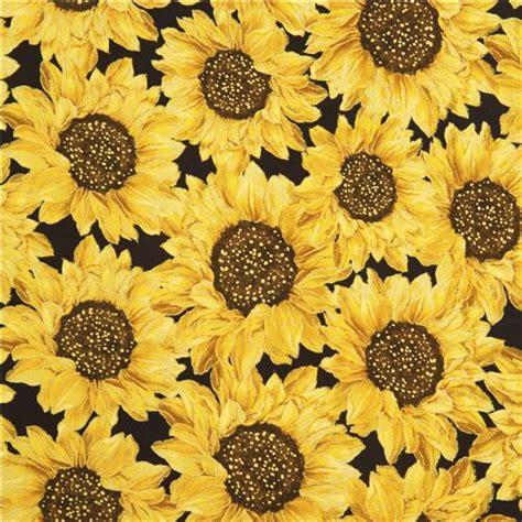 Sunflowers Metallic With A Black Background Timeless Treasures Fabric