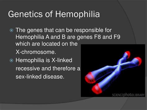 Ppt Hemophilia Powerpoint Presentation Free Download Id 2121812