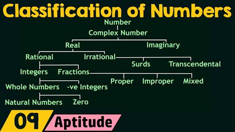 Types Of Classification System Ppt Design Talk