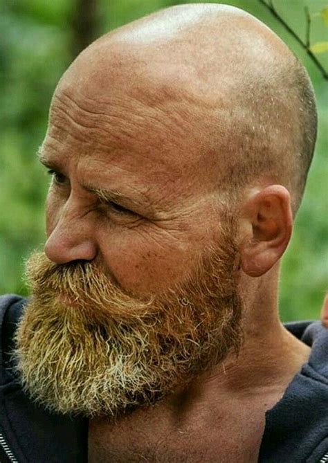 Pin By Neil Sol On Bald And Bearded Beard No Mustache Bald Head With