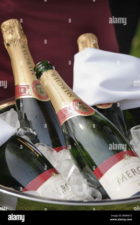 Champagne On Ice Stock Photo Alamy