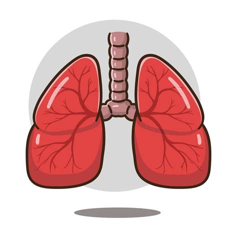 Ilustración De órgano De Pulmones De Dibujos Animados Bueno Para La