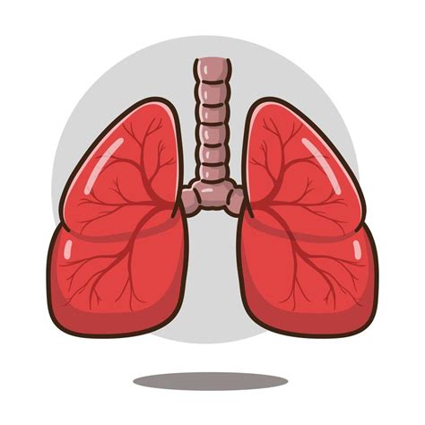 ilustración de órgano de pulmones de dibujos animados bueno para la