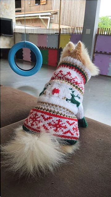 Knitting Patterns Galore - Christmas Sweater for Pets