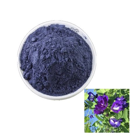 Food Additive Butterfly Pea Flower Extract Powder Natural Clitoria