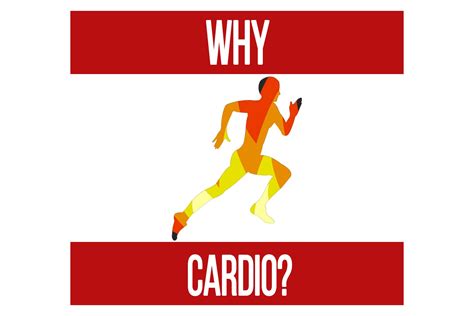 Hiit Cardio Dont Be Fooled N1 Training