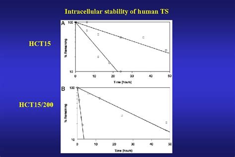 Targeting Thymidylate Synthase In Cancer Therapy F G