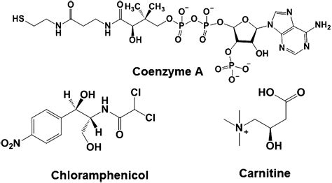 Erythromycin - Erythromycin eth such 125mg, erythromycin topical gel ...