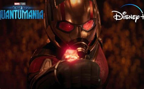 Cuándo se estrena Ant Man 3 en Disney Plus Quantumania streaming