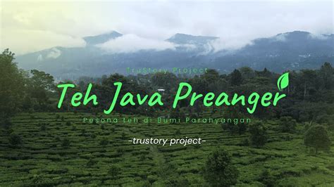 Teh Java Preanger Pesona Teh Di Bumi Parahyangan Behind The Scene