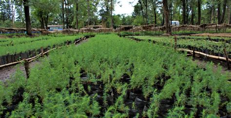 Landscape Level Integrated Watershed Management Improves Ecosystem