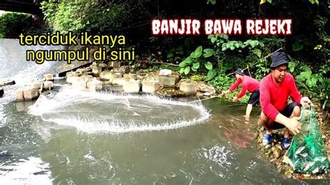 Rejeki Nomplok Jala Di Kubangan Sisa Kebanjiran Ternyata Sarang Ikan