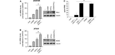 Osm And Ifn C Additively Induce Dexd H Box Rna Helicase Expression A Download Scientific