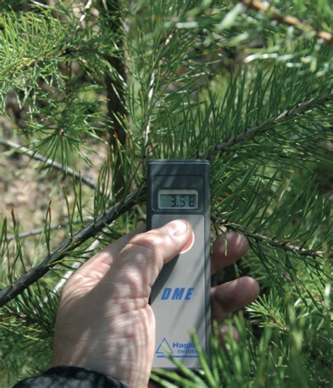 The Dme Forest Distance Measurement Tool Terra Tech