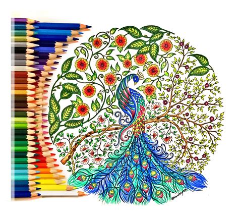 Secret Garden Coloring Book Rcoloring