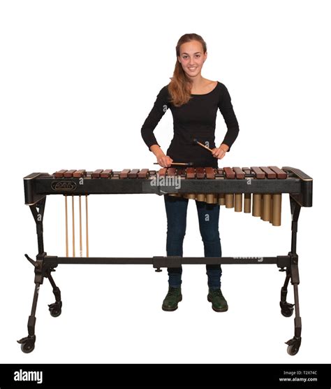 Difference Between Glockenspiel Xylophone And Marimba Shop Vintage ...