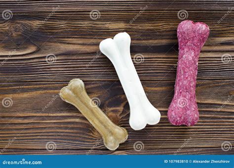 Chewing bones for dog stock photo. Image of bone, green - 107983810