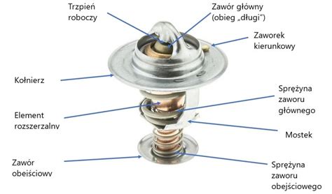 Oto Konsekwencje Niewystarczaj Cego Odpowietrzania Przy Wymianie Termostatu