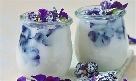 Panna Cotta s fialkami vegánska a bezgluténová Recept Dr Oetker