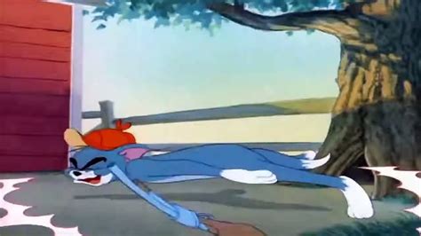 Tom And Jerry Episode 64 The Duck Doctor Part 2 Video Dailymotion