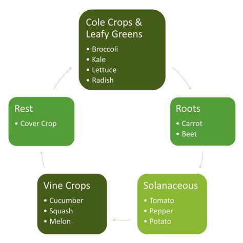 Crop Rotation In The Vegetable Garden Horticulture And Home Pest News